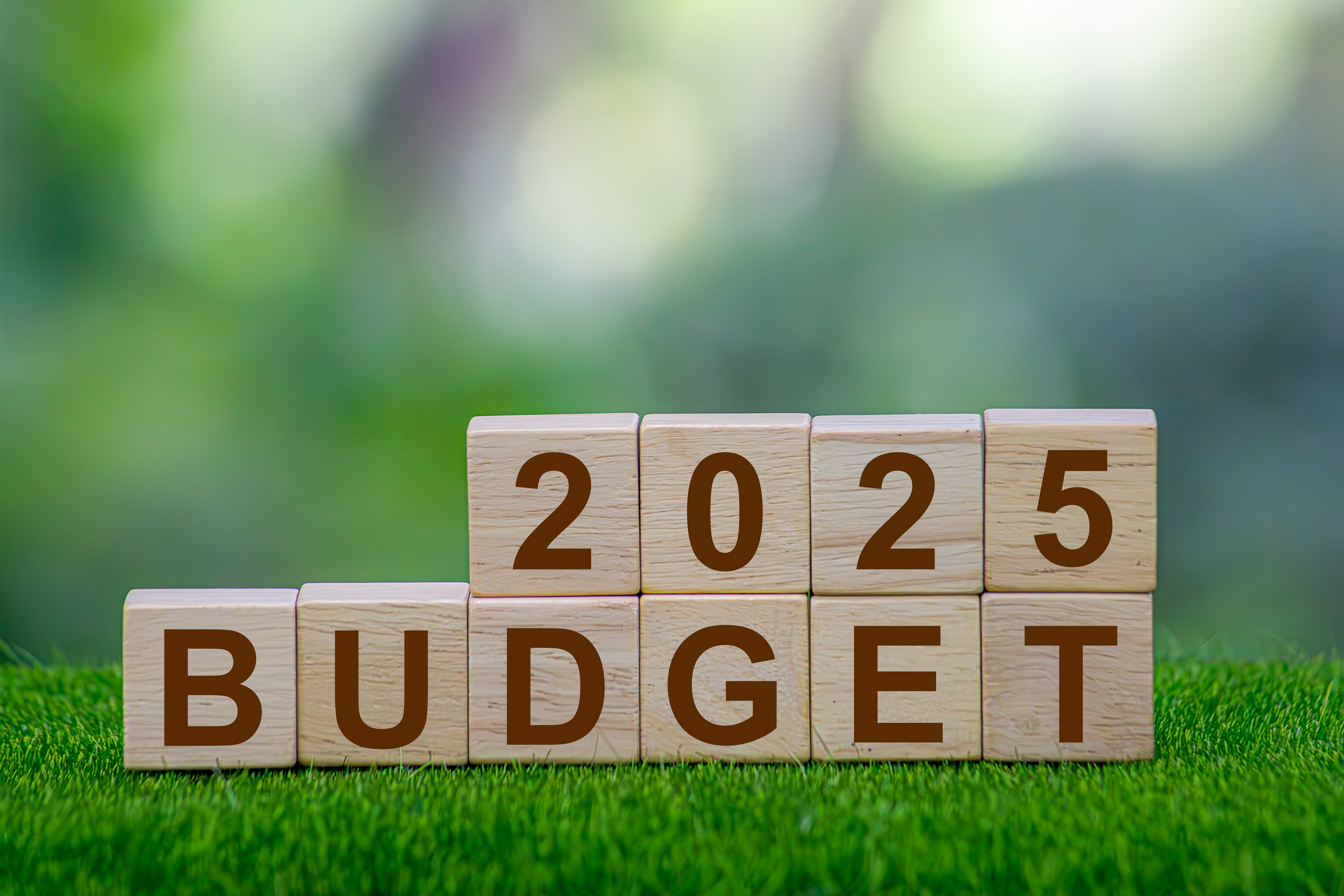 2025 Budget Summary 