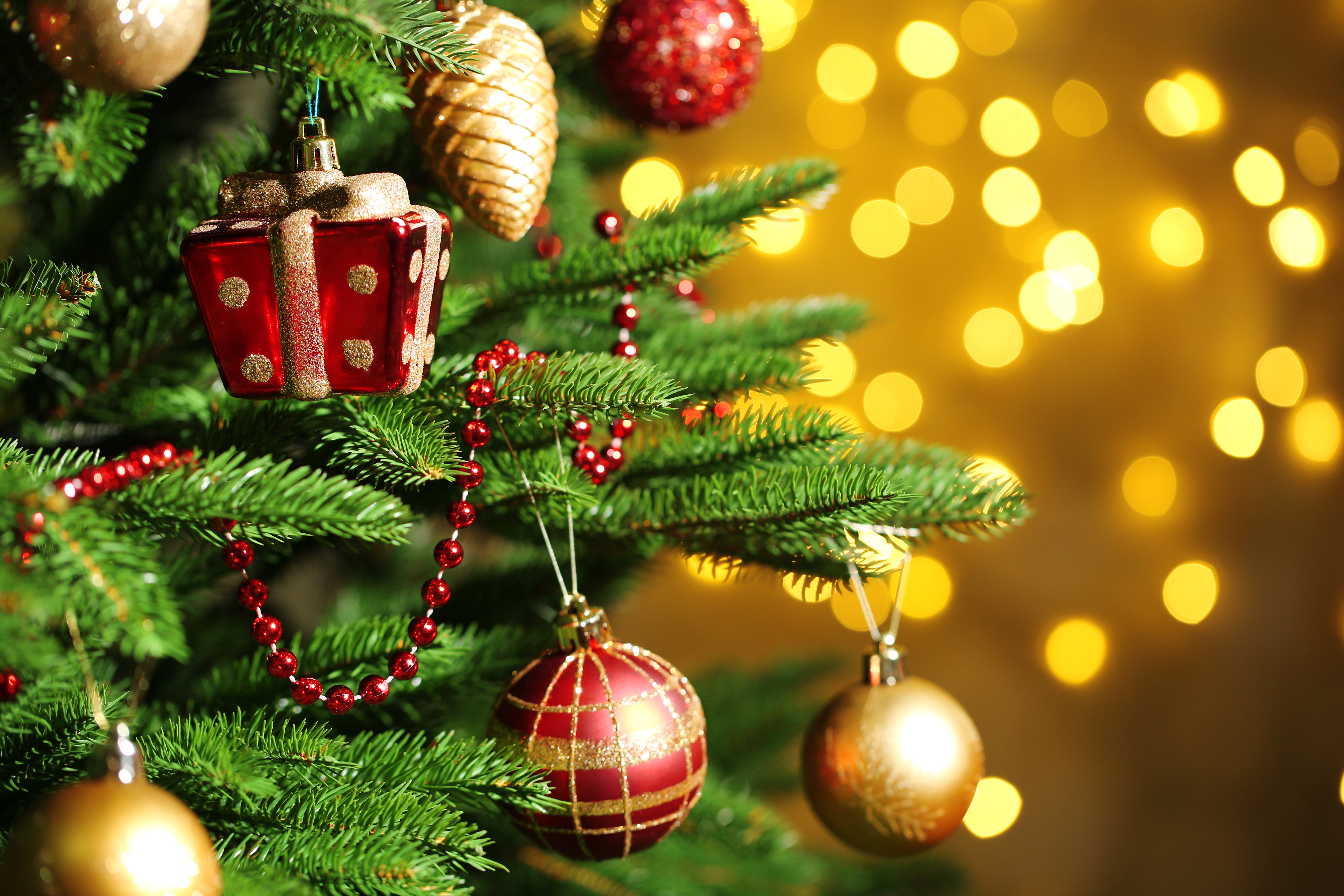 Christmas Party: Wednesday 13 December